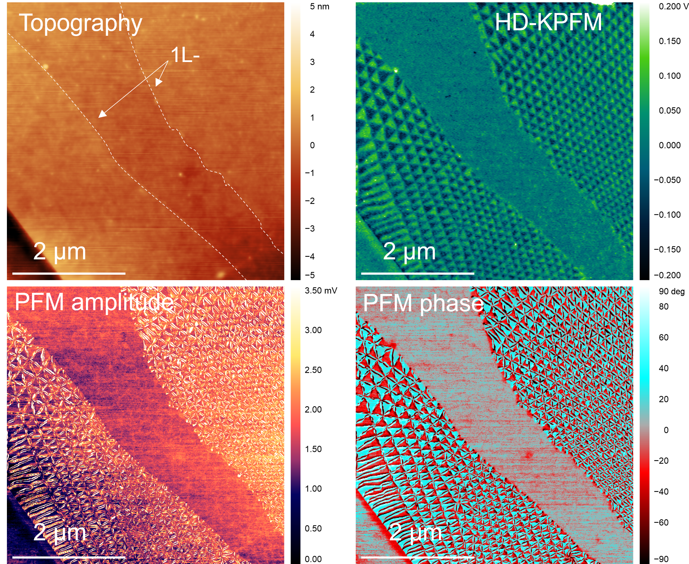 Ferroelectric 25 MArch.png